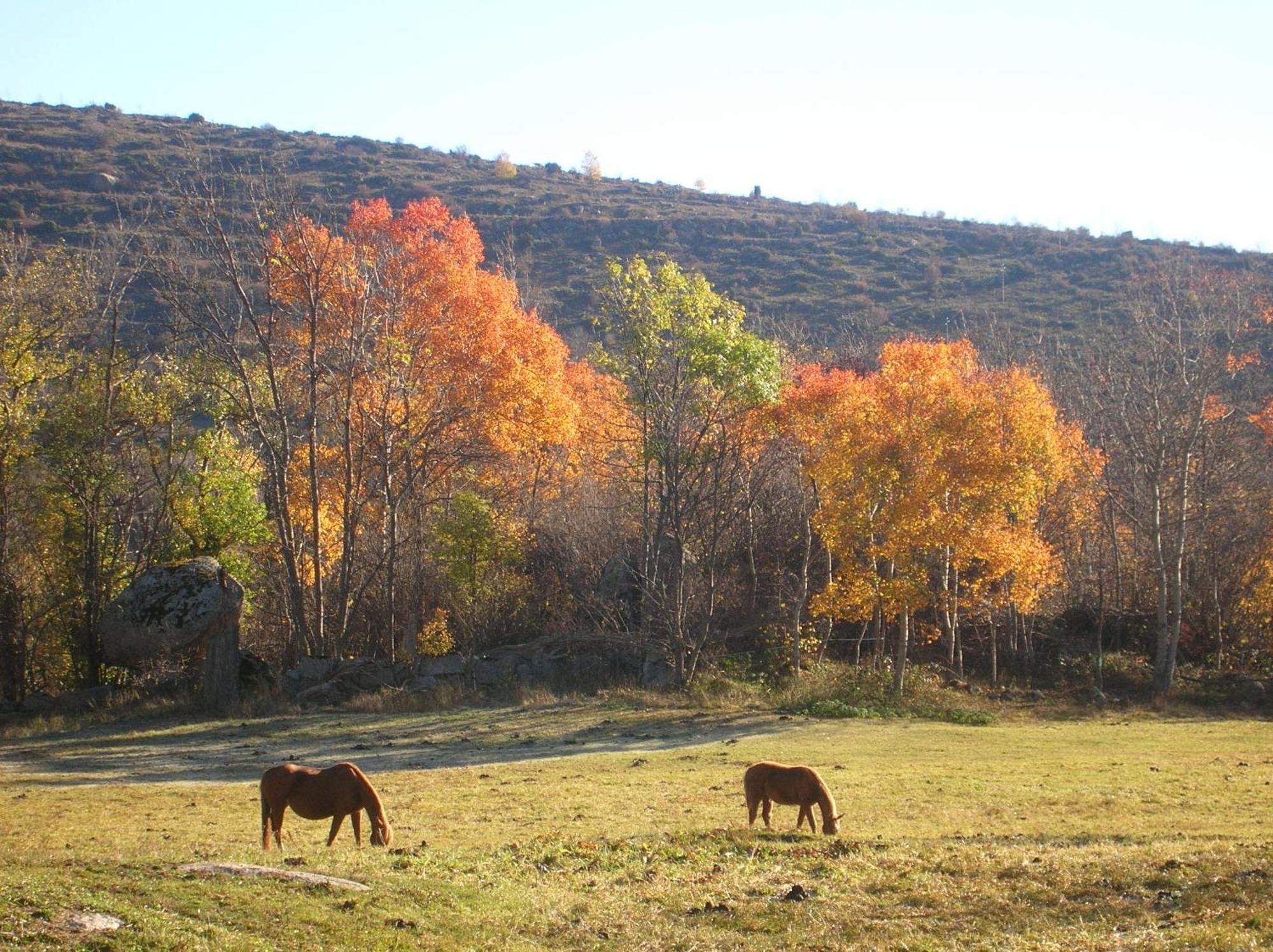 El Balco De Dorres